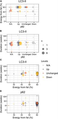 Autophagy in Hepatic Steatosis: A Structured Review